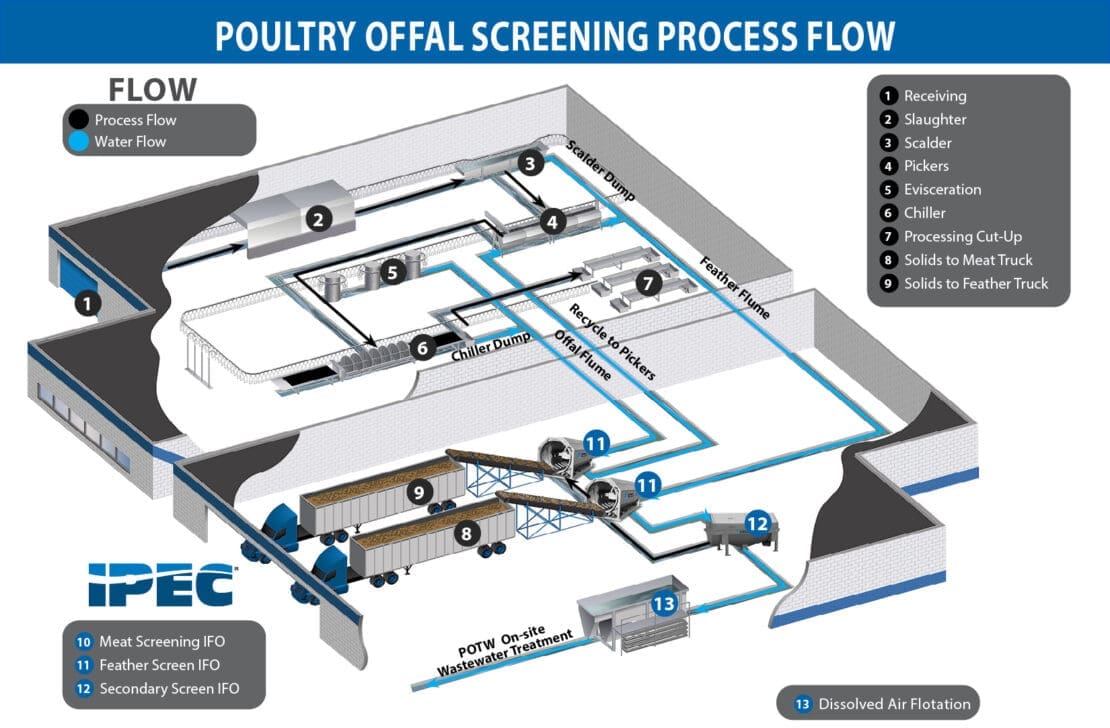 Poultry Process Infographic