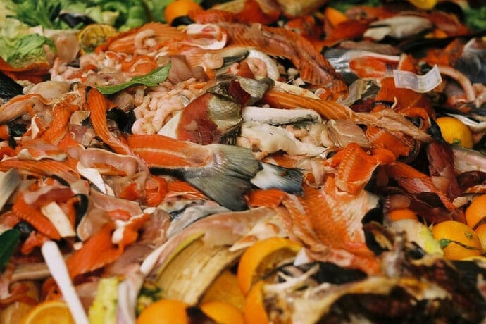 Food Waste Management