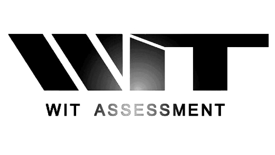 WIT Assessment logo