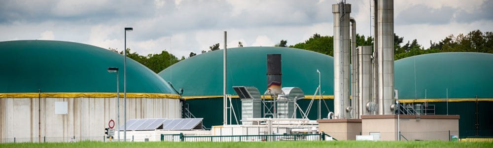 Manure Treatment Process