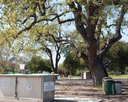 Fish Cleaning Station