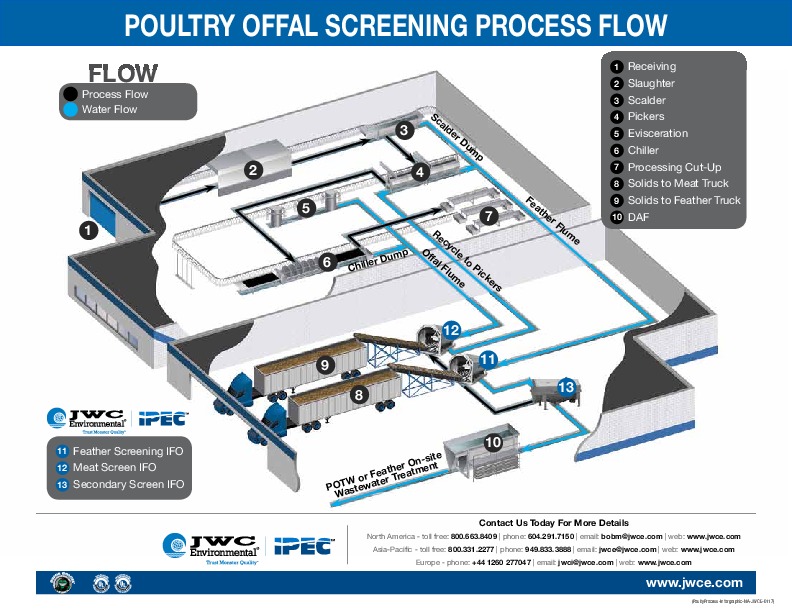 Poultry processing plant infographic