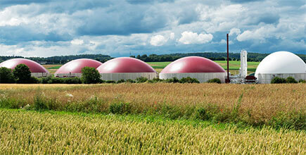 Digestion & Biogas