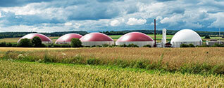Digestion and Biogas