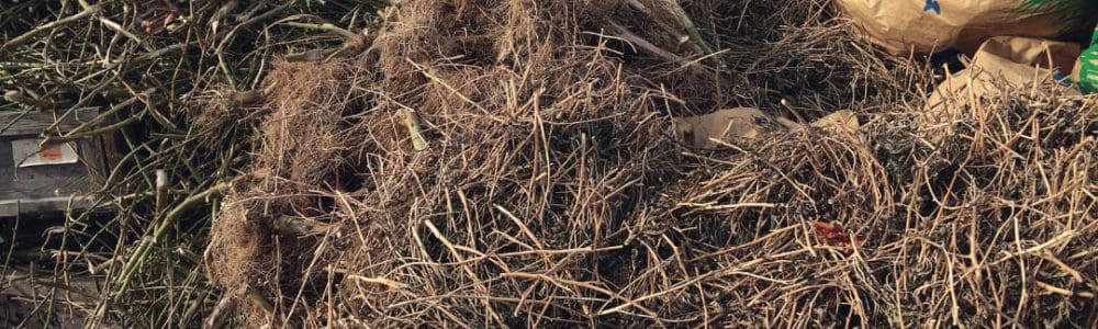 Cannabis waste regulations