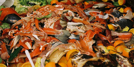 Food Waste Management