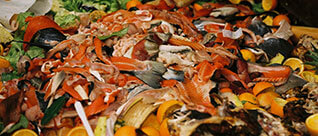 Food Waste Management